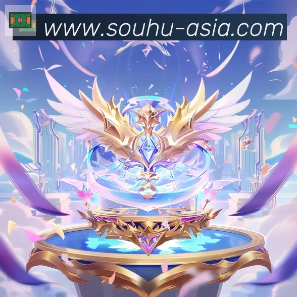 奖项证书